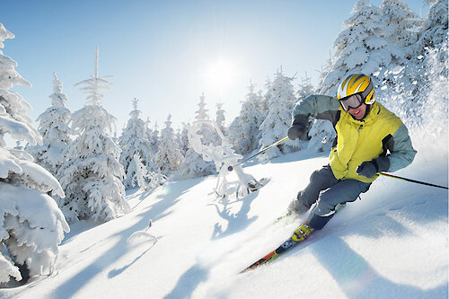 Skifahren Bayerischer Wald